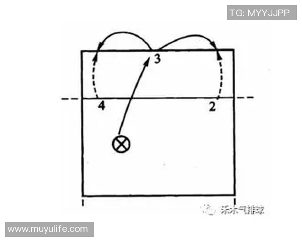 武汉排球队整体压制战术分析与战绩影响探讨
