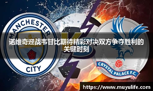 诺维奇迎战韦甘比期待精彩对决双方争夺胜利的关键时刻