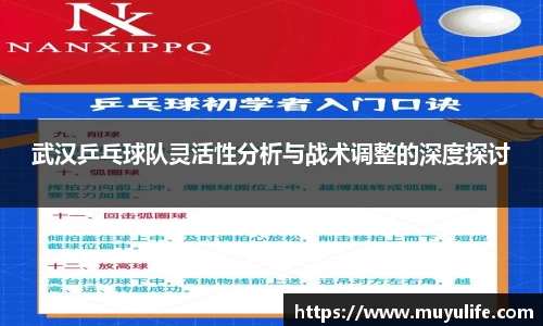 武汉乒乓球队灵活性分析与战术调整的深度探讨